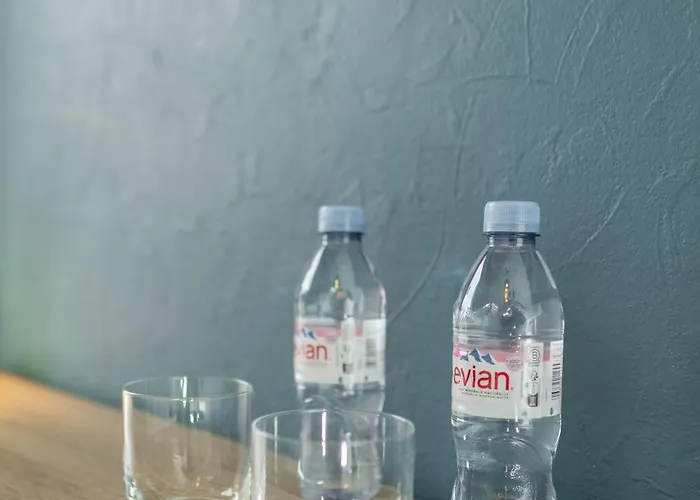 Les Oiseaux Apartamento